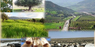Développement du monde rural : Le nouvel ordre de la campagne algérienne