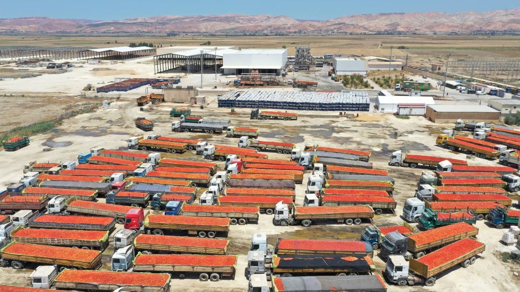 Stratégie d'investissement à Aïn Defla : L’attractivité d’un carrefour logistique