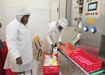 Timimoun : Extension de la laiterie Gourara