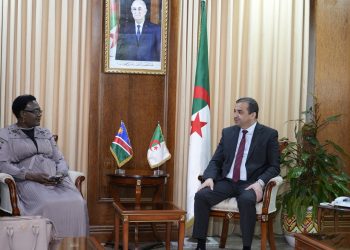 Algérie-Namibie : Un partenariat stratégique dans le secteur des hydrocarbures prend forme