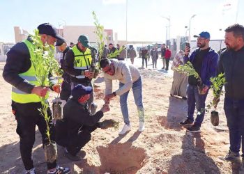 Opération de plantation de 5 millions d’arbres en une journée : L’arbre qui fait la forêt