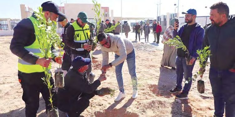 Opération de plantation de 5 millions d’arbres en une journée : L’arbre qui fait la forêt