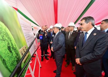Intégration de l’industrie nationale : Sonatrach, l’urgence de rattraper le retard dans la pétrochimie