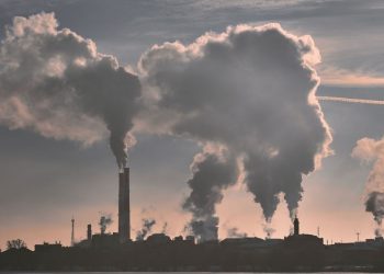 Mécanisme carbone européen : L’Algérie se met au diapason