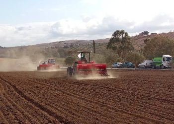 Régularisation du foncier agricole