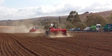 Régularisation du foncier agricole