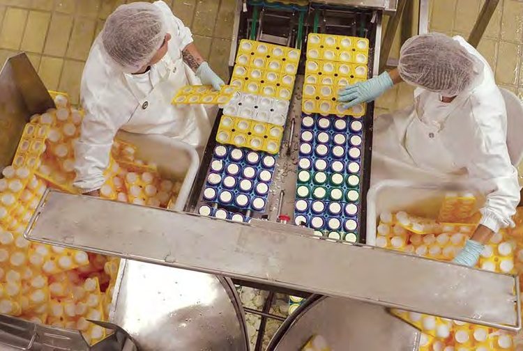 L'agro-industrie : une vocation par excellence