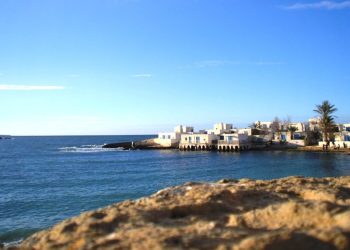 Tourisme : Tipasa renforce ses capacités d’accueil