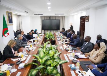Energie : Sonatrach et Sonelgaz se déploient en Afrique