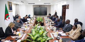 Energie : Sonatrach et Sonelgaz se déploient en Afrique