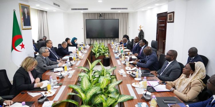 Energie : Sonatrach et Sonelgaz se déploient en Afrique