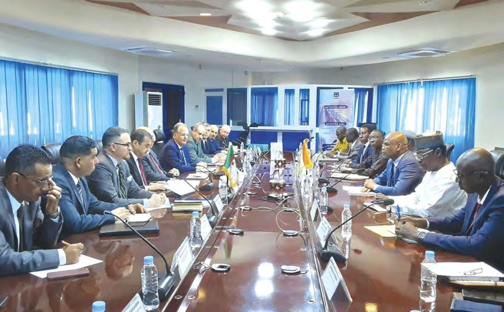 Sonelgaz à pied d’œuvre au Niger : L’Algérie au service de l’Afrique