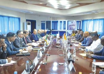 Sonelgaz à pied d’œuvre au Niger : L’Algérie au service de l’Afrique