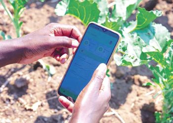 La GSMA débloque des financements stratégiques pour les start-ups africaines : La promotion de l’économie verte en ligne de mire
