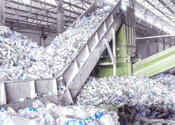Plastique, emballage, recyclage : Une filière stratégique en plein essor