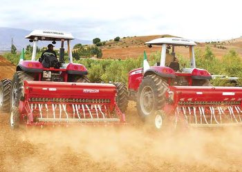 Nouveau projet de loi d’orientation agricole : Les grands chantiers de l’agriculture