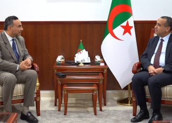 Mourad Adjal reçoit une délégation d’«Elsewedy Electric Algérie» : Accélérer les projets de coopération
