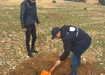 Charef et Aïn Chouhada (Djelfa) : Plantation de 1.000 arbustes dans le cadre d’une campagne de volontariat