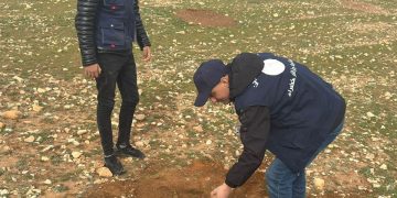 Charef et Aïn Chouhada (Djelfa) : Plantation de 1.000 arbustes dans le cadre d’une campagne de volontariat