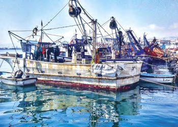 Production quotidienne d'environ 20 tonnes de poissons à Annaba : La pêche pilier de l’économie locale