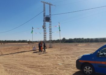 Bientôt des travaux de raccordement de 10 exploitations agricoles à l’électricité : Mila poursuit la modernisation de son agriculture