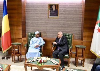 Première session du Conseil d’affaires Algéro-tchadien : «Traduire les liens en projets d’investissement»
