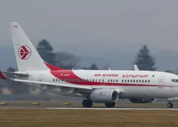 Renouvellement de sa flotte, et redéploiement à l'international : Air Algérie se refait les ailes
