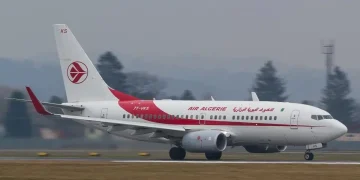 Renouvellement de sa flotte, et redéploiement à l'international : Air Algérie se refait les ailes