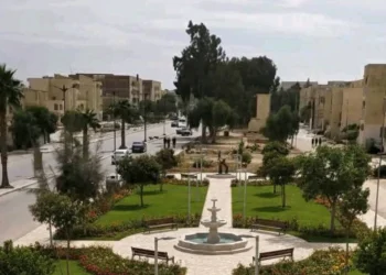 Bir El Ater : Un futur géant économique de l’Est