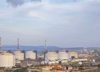 Plasturgie et PME : L’impact stratégique du Polypropylène d’Arzew