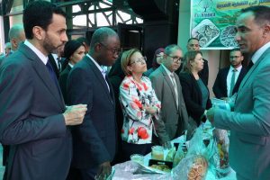 Investissement des jeunes dans l'économie verte : Lancement d’une plateforme numérique nationale