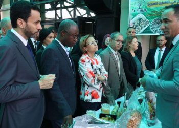 Investissement des jeunes dans l'économie verte : Lancement d’une plateforme numérique nationale
