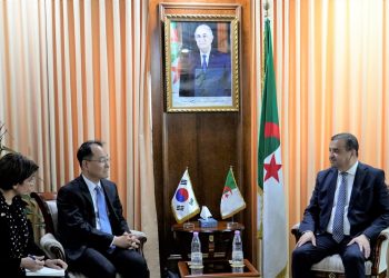 Hydrocarbures : Arkab examine le renforcement de la coopération bilatérale avec des partenaires étrangers