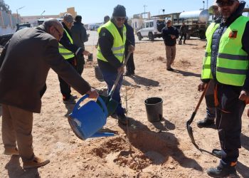 Sonelgaz lance une large campagne de reboisement à In Guezzam : La wilaya renforce son couvert végétal