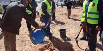 Sonelgaz lance une large campagne de reboisement à In Guezzam : La wilaya renforce son couvert végétal