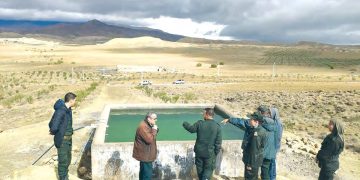 Lutte contre la désertification à Bouira : Redonner vie aux territoires ruraux
