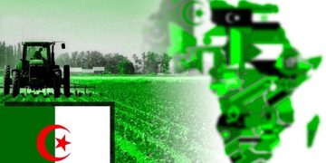 Objectifs de développement durable à l’horizon 2030 : L’Algérie, locomotive de la résilience africaine