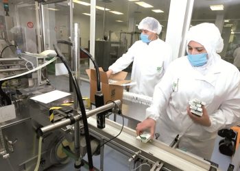 Souveraineté intellectuelle : L’Algérie forme l’élite de son industrie 4.0