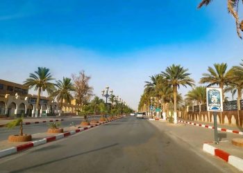 Touggourt : Un pôle économique saharien