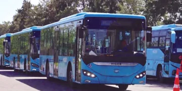 Sidi Abdellah (Alger) : Renforcement imminent du réseau de transport