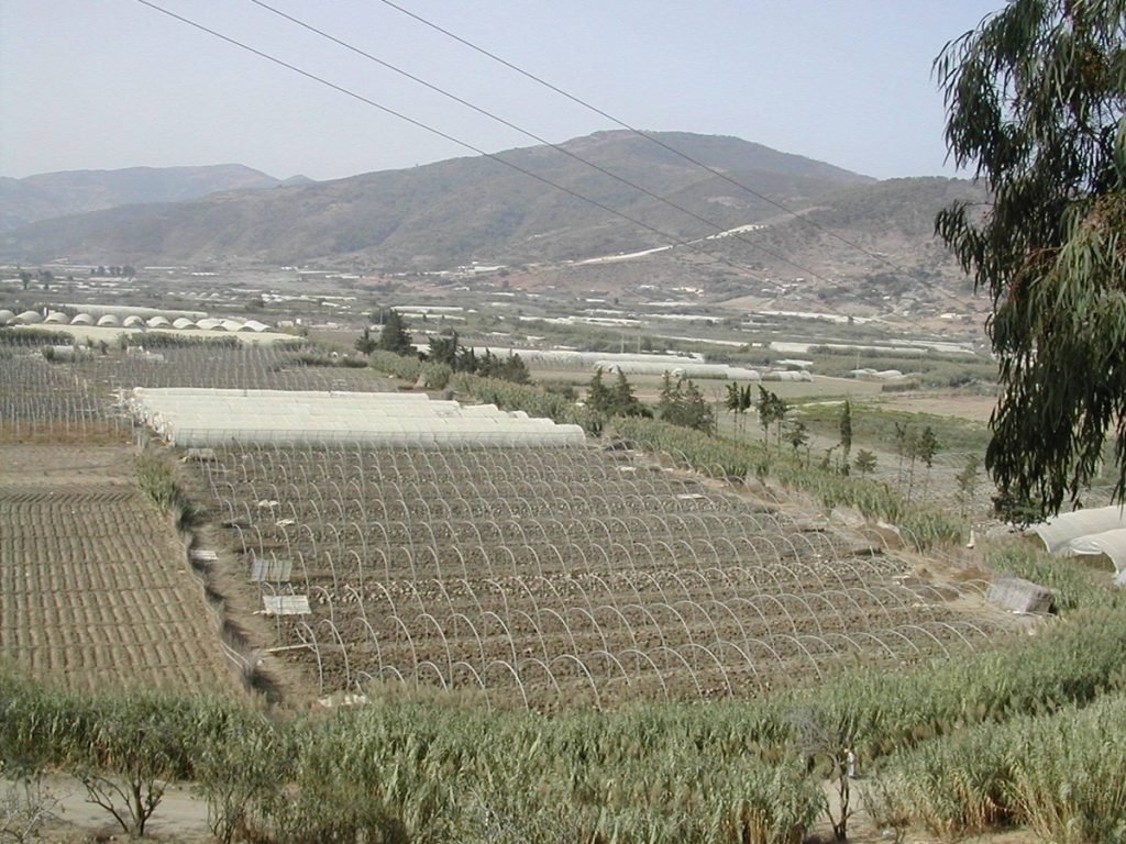 Secteur agricole : Une mission parlementaire à Aïn Defla