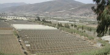 Secteur agricole : Une mission parlementaire à Aïn Defla
