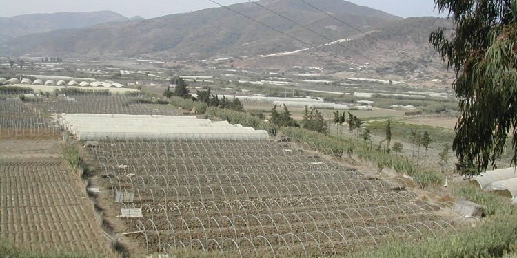 Secteur agricole : Une mission parlementaire à Aïn Defla