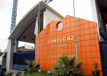 Elle rend public son bilan et annonce son programme : Sonelgaz anticipe un été tranquille