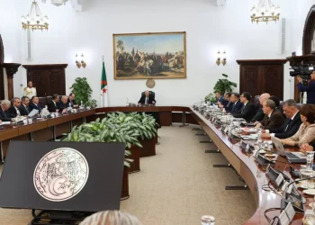 Conseil des ministres : Cap sur l’industrie pétrochimique