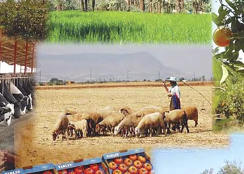 Des PPDRI aux «Zones d’ombre» : Le développement rural fait sa mue