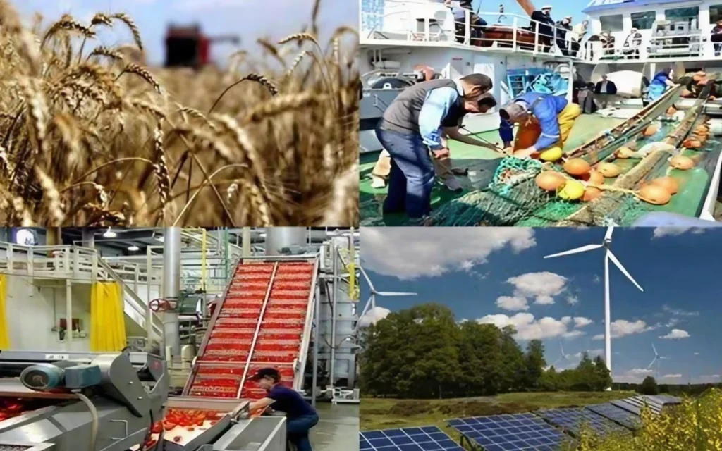 Diversification économique : La jeunesse redessine les contours de la nouvelle économie