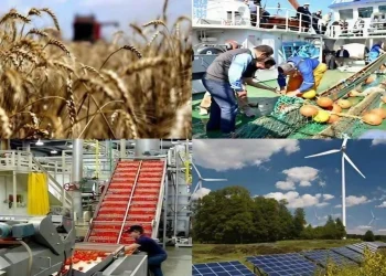 Diversification économique : La jeunesse redessine les contours de la nouvelle économie