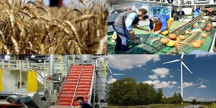 Diversification économique : La jeunesse redessine les contours de la nouvelle économie