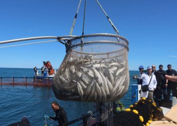 Campagne 2026 de la pêche au thon rouge : Oualid donne le coup d’envoi